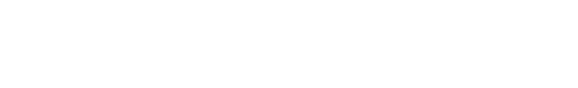 Autoexact logo white
